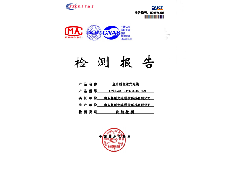 檢測報告