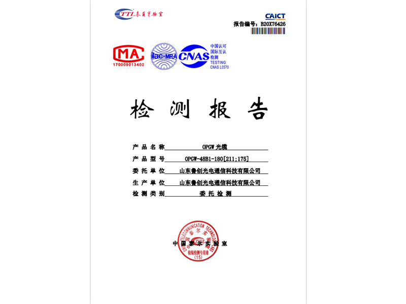 檢測報告